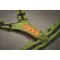 Reflective body belt with LED - ROUNDVISIBLE - Anteprima 7
