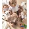 Bunny plush wearing a hoodie - BUNNY - Anteprima 2