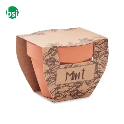 Terracotta pot mint seeds - MINT POT - Immagine 8