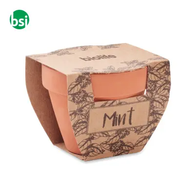 Terracotta pot mint seeds - MINT POT - Immagine 9