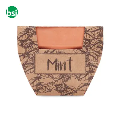 Terracotta pot mint seeds - MINT POT - Immagine 10