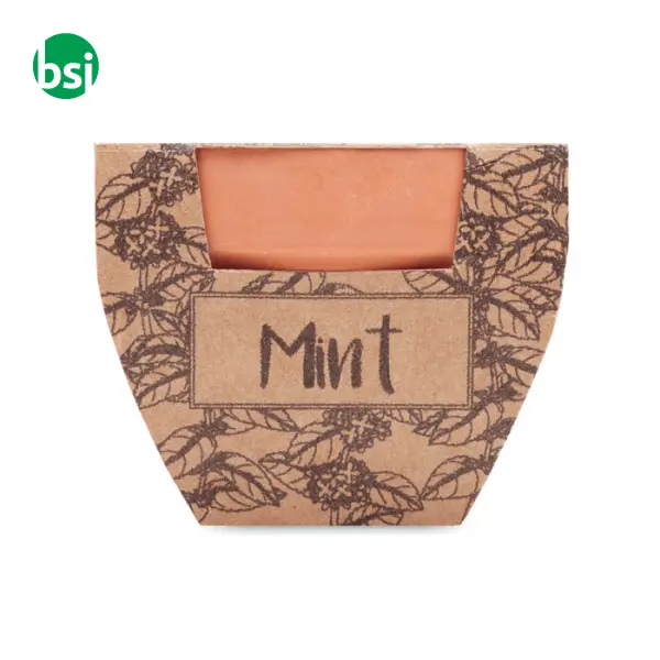 Terracotta pot mint seeds - MINT POT -  10