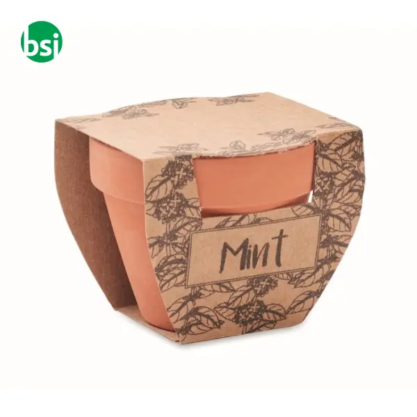 Terracotta pot mint seeds - MINT POT -  3