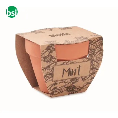 Terracotta pot mint seeds - MINT POT - Immagine 4