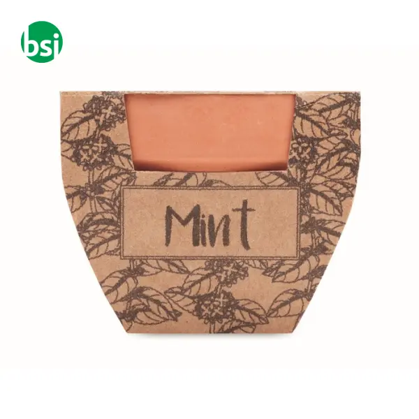 Terracotta pot mint seeds - MINT POT -  5