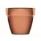 Terracotta pot mint seeds - MINT POT - Anteprima 7