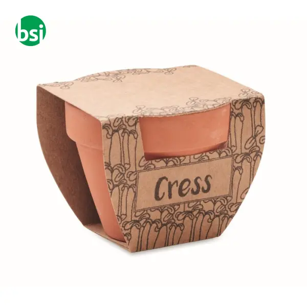 Terracotta pot cress seeds - CRESS POT -  2