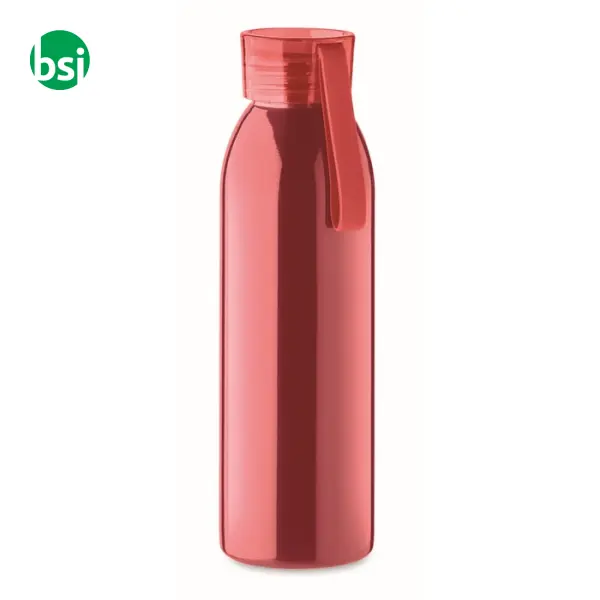 Stainless steel bottle 650ml - BIRA -  24