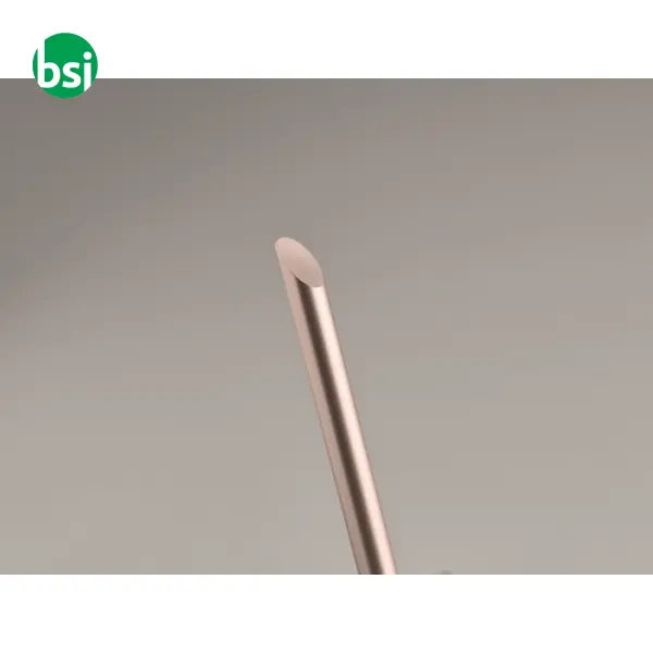 Long lasting inkless pen - PENEVER -  19