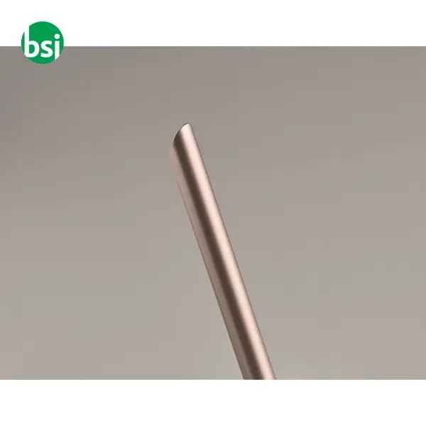 Long lasting inkless pen - PENEVER -  20