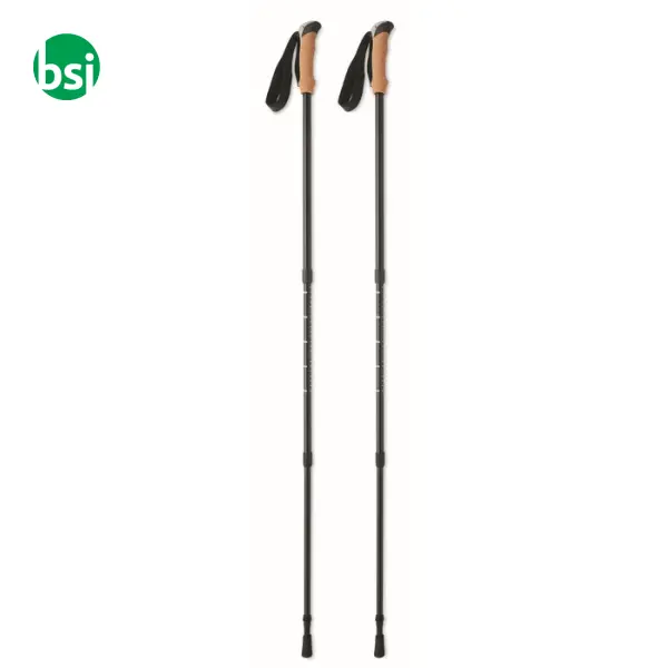 Nordic walking poles - NOLE -  3