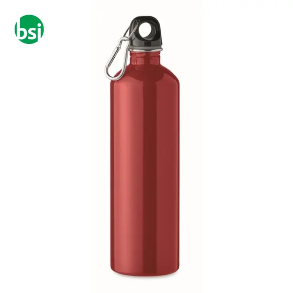 Single wall bottle  750ml - REBIG MOSS -  24