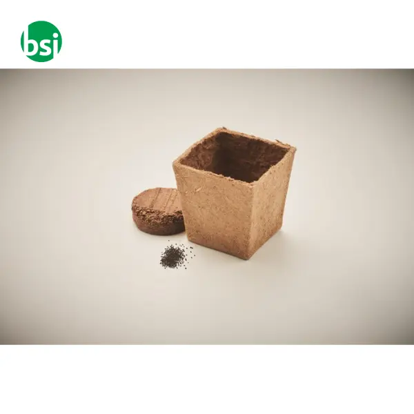 Mint seeds growing kit - MINT KIT -  5