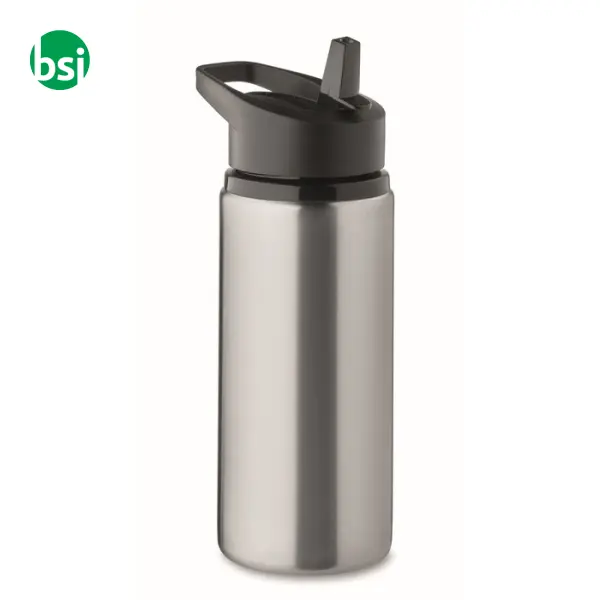 Single wall bottle 500ml - SPOT -  24