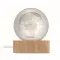 LED globe glass ball - GLOBE LIGHT - Anteprima 10