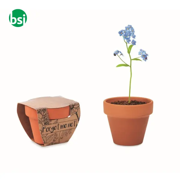 Terracotta pot 'forget me not'  - FORGET ME NOT -  1