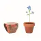 Terracotta pot 'forget me not'  - FORGET ME NOT - Anteprima 1