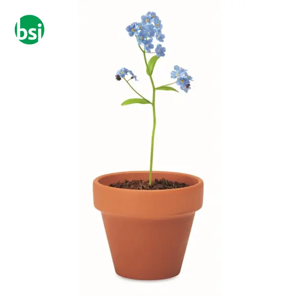 Terracotta pot 'forget me not'  - FORGET ME NOT -  6