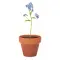 Terracotta pot 'forget me not'  - FORGET ME NOT - Anteprima 6