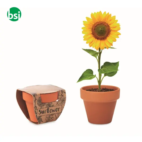 Terracotta pot 'sunflower' - SUNFLOWER -  1