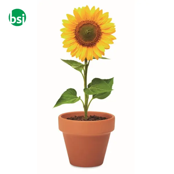 Terracotta pot 'sunflower' - SUNFLOWER -  6