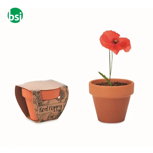 Terracotta pot 'poppy' - RED POPPY -  1