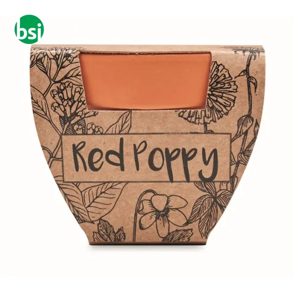 Terracotta pot 'poppy' - RED POPPY -  3