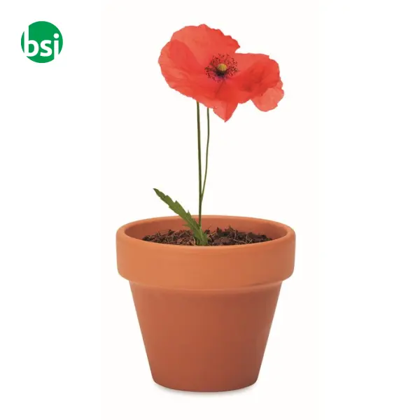 Terracotta pot 'poppy' - RED POPPY -  5