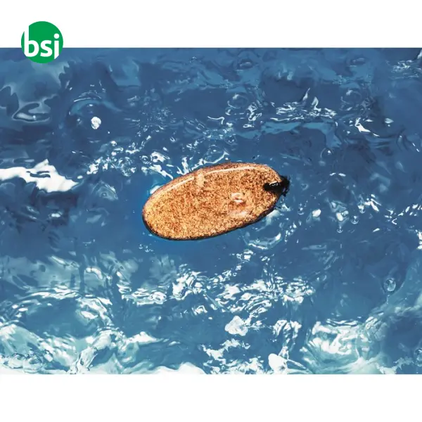 Floating cork key ring - BOAT -  5