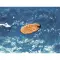 Floating cork key ring - BOAT - Anteprima 5