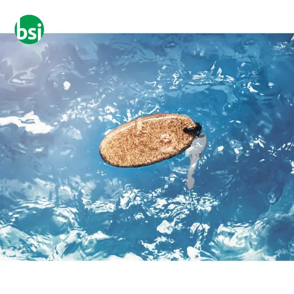 Floating cork key ring - BOAT -  6