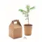 Pine tree set - GROWTREE™ - Anteprima 15