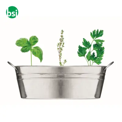 Zinc tub with 3 herbs seeds - MIX SEEDS - Immagine 7