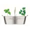 Zinc tub with 3 herbs seeds - MIX SEEDS - Anteprima 7