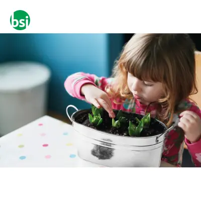 Zinc tub with 3 herbs seeds - MIX SEEDS - Immagine 11