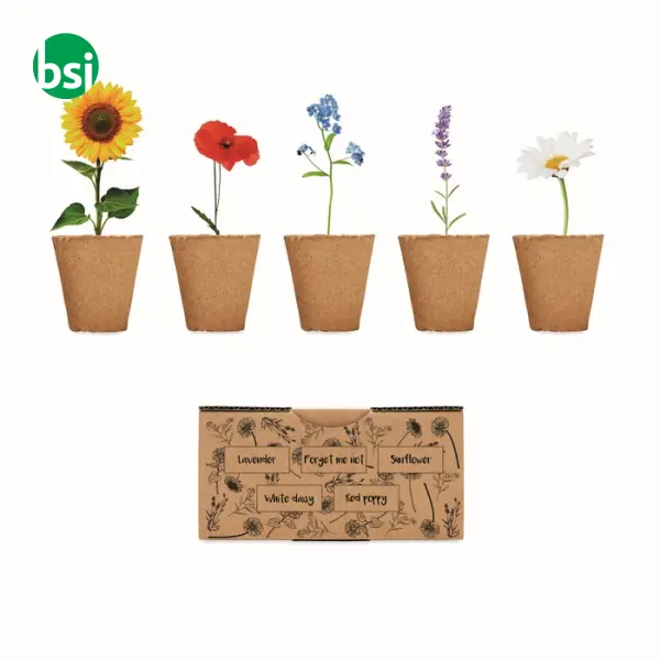Flowers growing kit - FLOWERS -  1