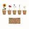 Flowers growing kit - FLOWERS - Anteprima 1