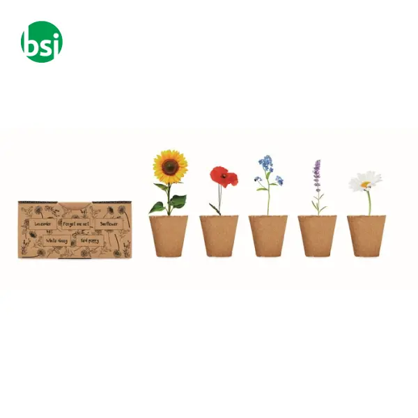 Flowers growing kit - FLOWERS -  6