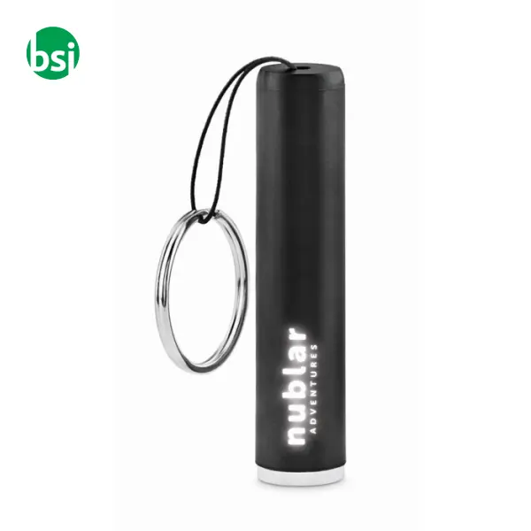 Plastic light up logo torch - SANLIGHT -  18