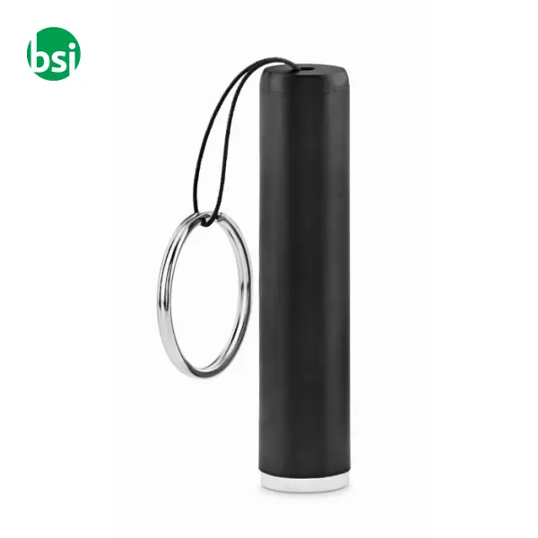 Plastic light up logo torch - SANLIGHT -  2