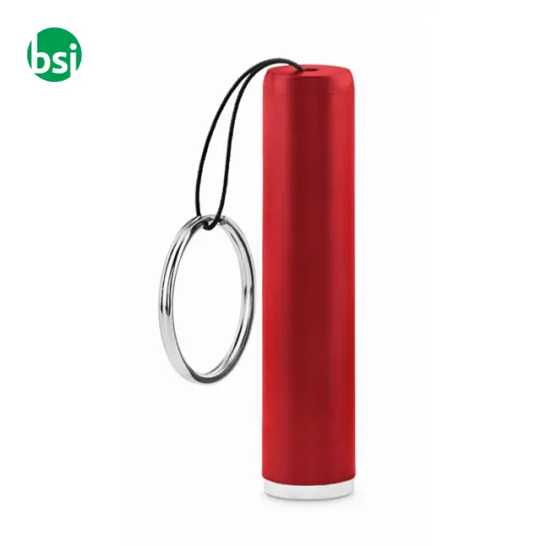 Plastic light up logo torch - SANLIGHT -  5