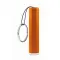 Plastic light up logo torch - SANLIGHT - Anteprima 11