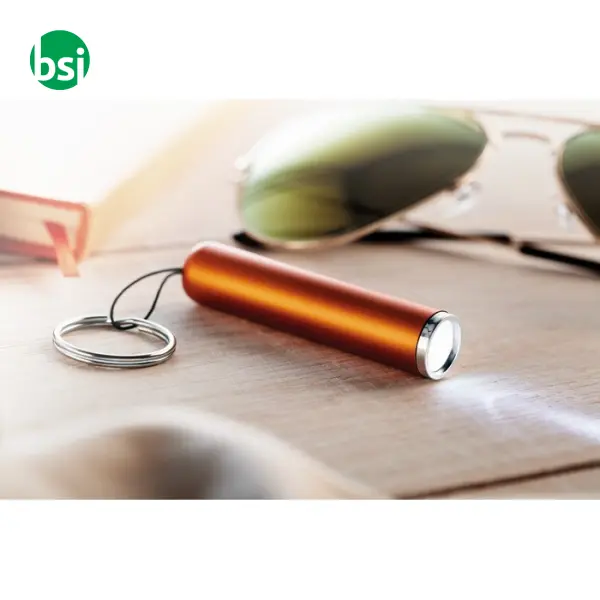 Plastic light up logo torch - SANLIGHT -  10