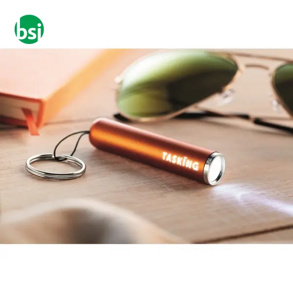 Plastic light up logo torch - SANLIGHT -  9
