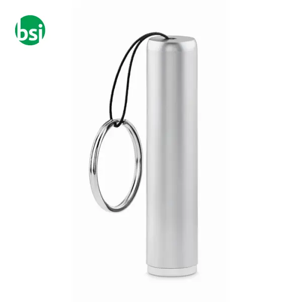 Plastic light up logo torch - SANLIGHT -  14
