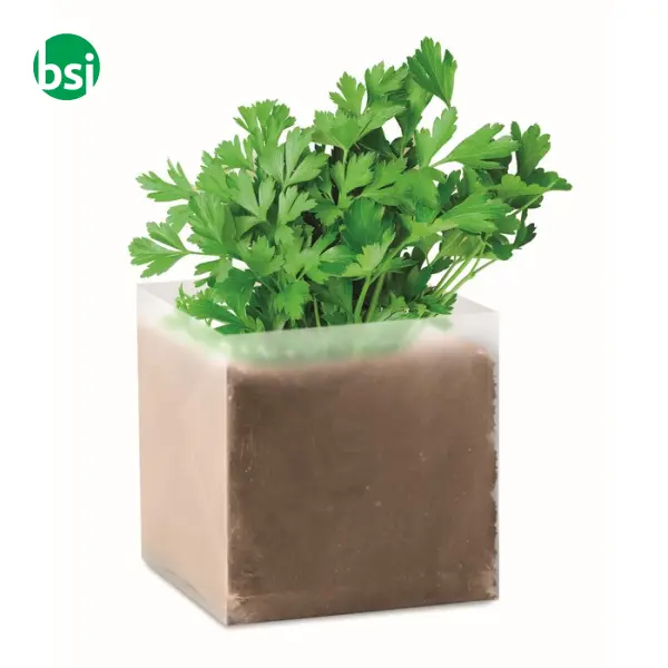 Compost with seeds "PARSLEY" - PARSELY -  1