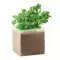 Compost with seeds "PARSLEY" - PARSELY - Anteprima 1