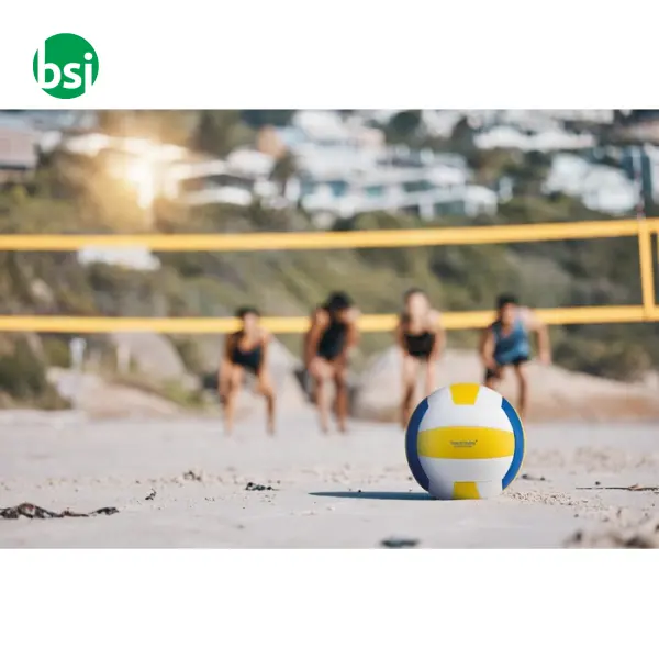 Volleyball in matt PVC - VOLLEY -  5