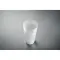 Frosted PP cup 550 ml - 550ml - FESTA CUP - Anteprima 20