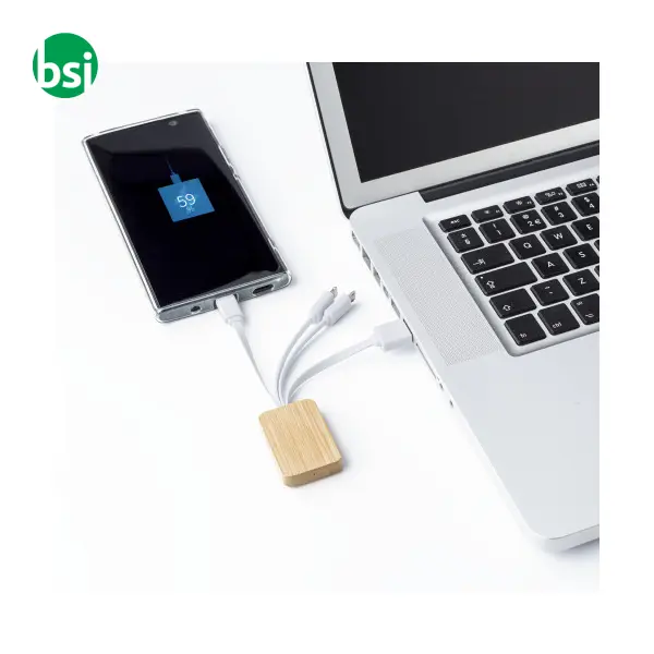 Bamboo charging cable Brandan -  4
